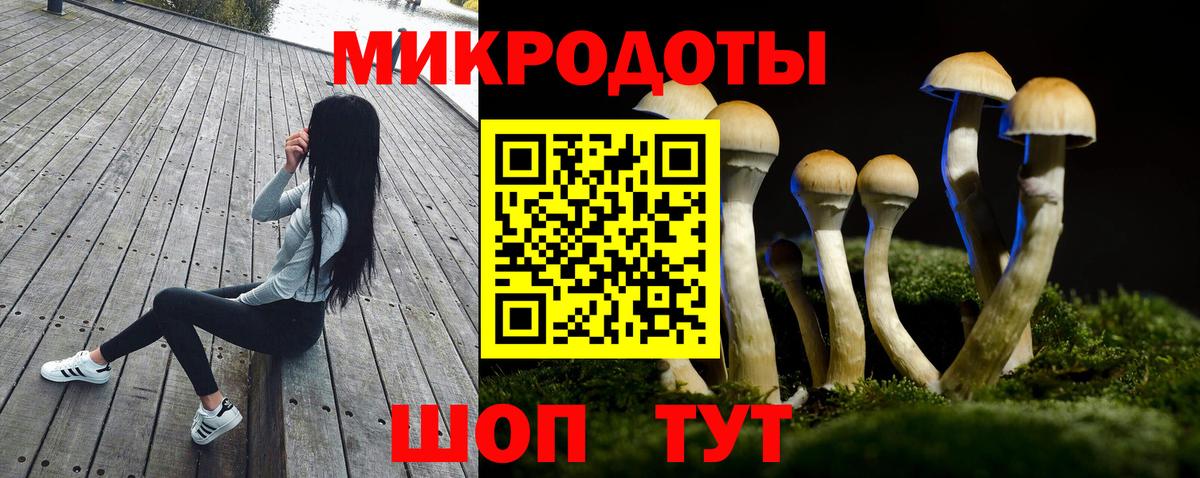 Псилоцибиновые грибы Psilocybe  Вход с VPN  Советск 