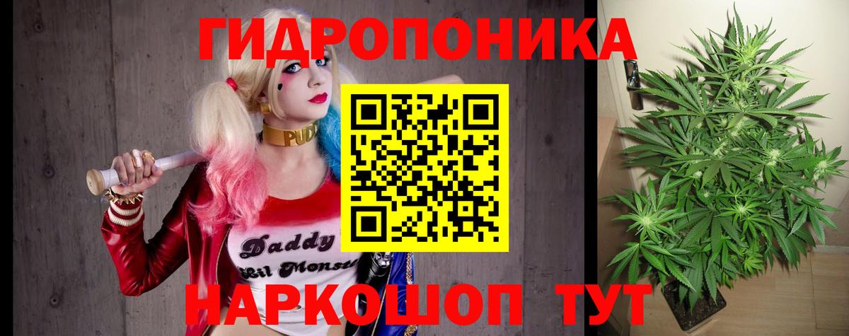 Бошки Шишки White Widow  Марихуана Ganja  Советск  Бошки Шишки сатива  Вход с VPN 